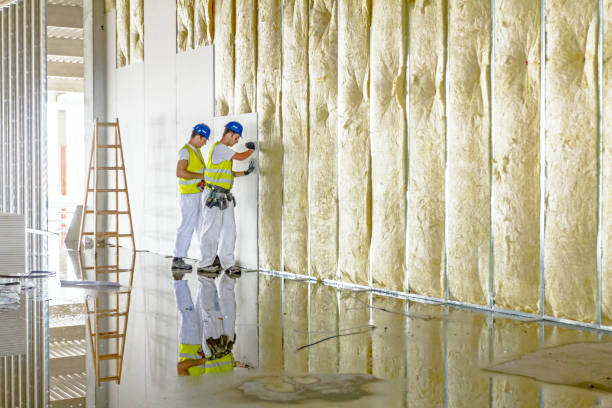 Best Types of Insulation in Triangle, VA